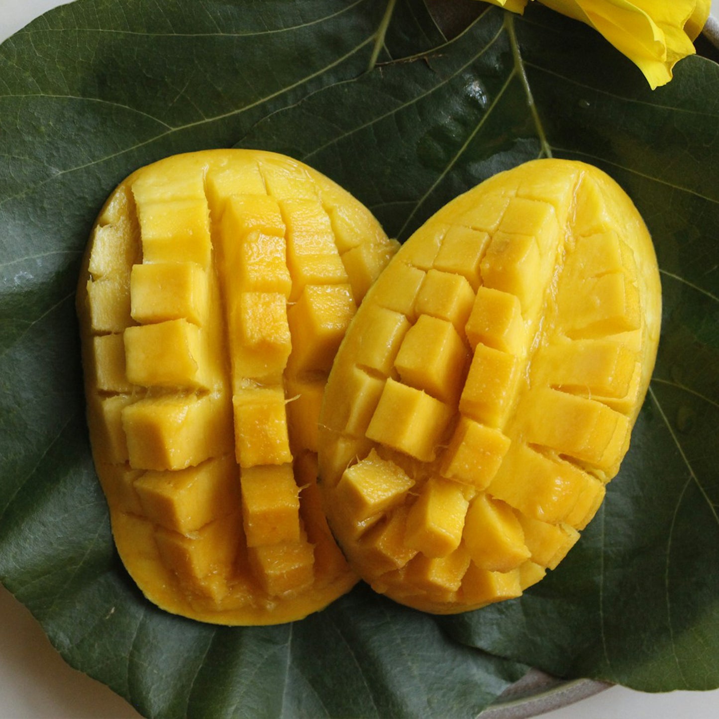 マンゴー ダイス（クリスピー・フルーツ）タイ産