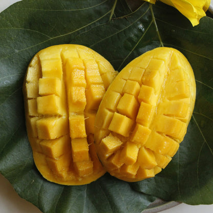 マンゴー ダイス（クリスピー・フルーツ）タイ産