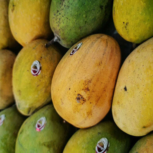 マンゴー スライス（クリスピー・フルーツ）中国産